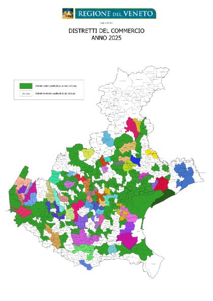 Riconoscimento Distretto Territoriale del Commercio 