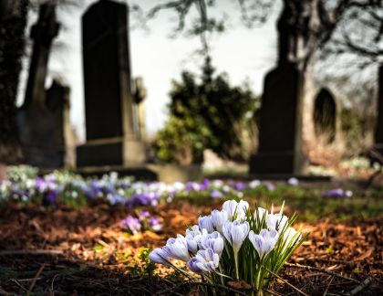 Avviso pubblico esumazioni ed estumulazioni ordinarie nei cimiteri di Codevigo e Conche