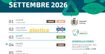 Screenshot 2026-08-31 at 15-55-42 19_CODEVIGO.pdf(1)